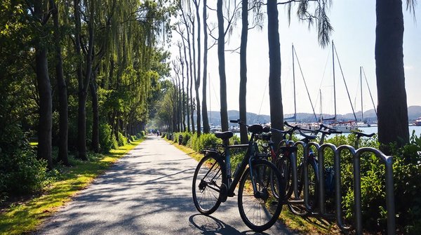 Guide des meilleures locations de vélos à noirmoutier pour tous