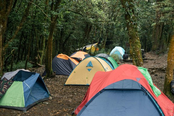 L'expérience unique d'un camping éco-responsable dans le lot